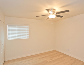 Ceiling fan